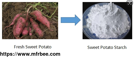 sweet_potato_starch_machine