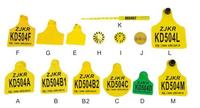 Red Yellow Blue Orange Ear Tag With Laser Printing C:60×70mm.D:42mm×50mm