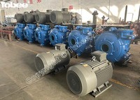 Tobee® the New batch of 8/6 inch Mining Slurry Pumps with CV Drive Type Motors
