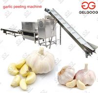 more images of Automatic Garlic Peeling Machine