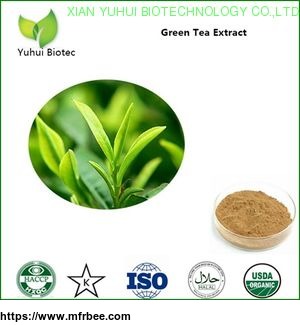 green_tea_extract_green_tea_extract_powder_bio_green_tea_extract