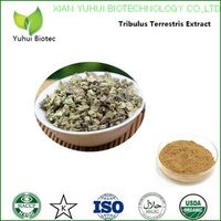 Tribulus terrestris Extract,furostanolic saponins,saponin supplements,tribulus 90% saponin