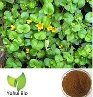 more images of Lysimachia christinae Hance extract,Christina Loosestrife Herb extract