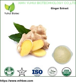 gingerol_5_percentage_ginger_powder_extract_ginger_dry_extract_ginger_rhizome_extract_powder
