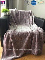 Back Dying Solid Color Luminous New Design Blanket