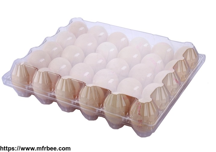 customized_wholesale_refrigerator_crisper_egg_packaging_container_clamshell_box_biodegradable_pet_plastic_clear_quial_egg_tray
