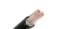 more images of 2 Cores Power Cable (XLPE Insulated)
