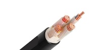 4 Cores Power Cable (XLPE Insulated)