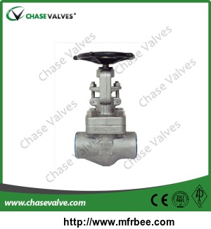 stainless_steel_forged_globe_valve