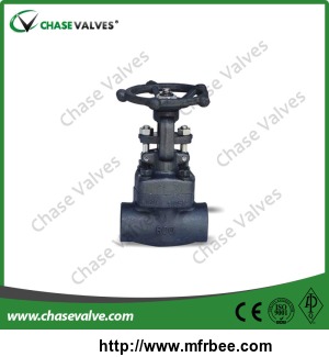 bolted_bonnet_sw_ends_forged_globe_valve