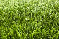 more images of Omega Artificial Grass