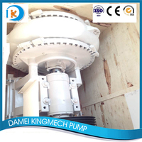 more images of Heavy Duty Centrifugal Sand Pump