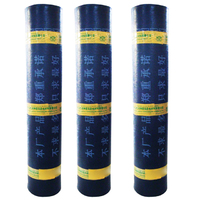 High quality SBS Modified Bitumen Waterproof Membrane