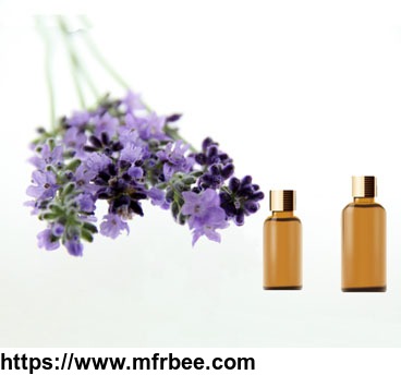 lavender_essential_oil
