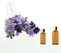 more images of Lavender Essential Oil