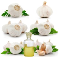 Essential Oils Garlic Oil