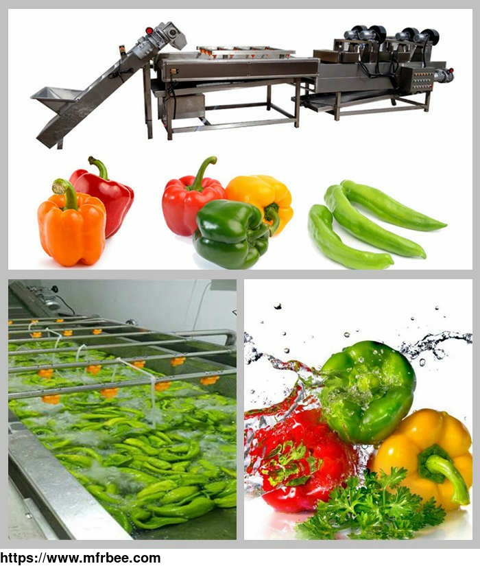 bell_pepper_washing_machine_green_pepper_washing_and_drying_plant