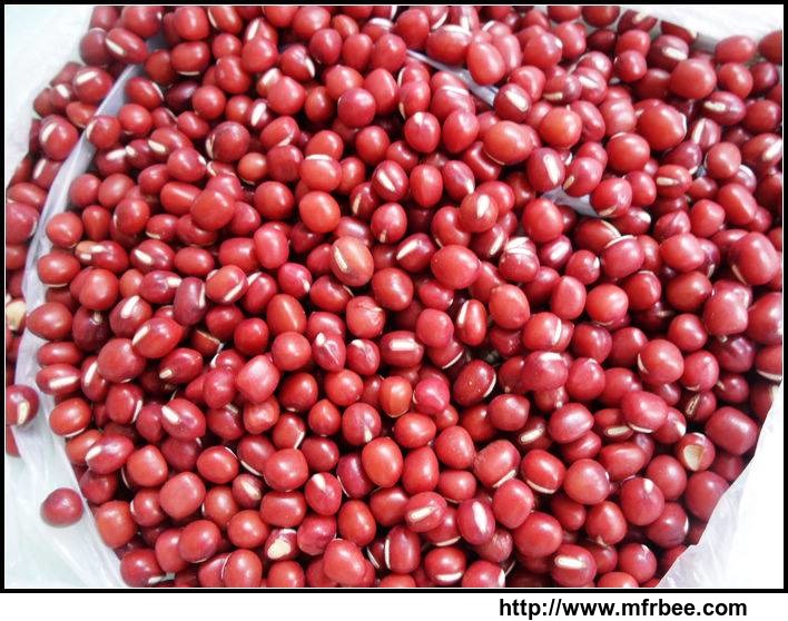 small_red_bean