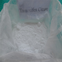 99% quality Tamoxifen Citrate