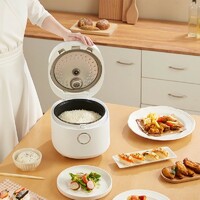 more images of GR-S30 Rice-cooker