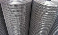 more images of Galvanized Welded Wire Mesh Hardware Cloth