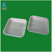 more images of Eco friendly biodegradable disposable medical paper tray