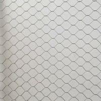AISI316 Flexible stainless steel knotted mesh for animal fencing