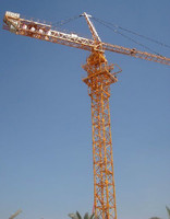 Tower Crane-Max. Load 10t (H25/14) --nicolemiao@crane2.com