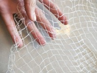 more images of Plastic knotless monofilament anti bird control netting