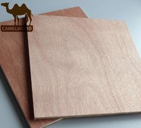 Hot sales great price commercial plywood for decoration