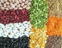 more images of Offer To Sell Peas & Pulses