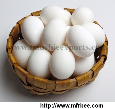 offer_to_sell_eggs