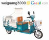 Benma Electric Cargo multifunctional cycle
