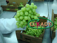 more images of Fresh Grapes