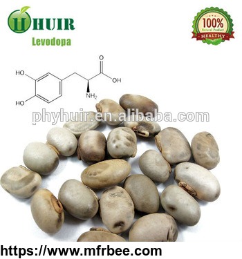 100_percentage_natural_mucuna_pruriens_extract