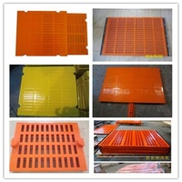 more images of Polyurethane Vibrating screen plate