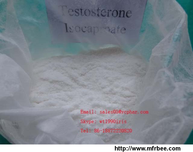 muscle_building_testosterone_isocaproate_15262_86_9_testosterone_steroid_hormone