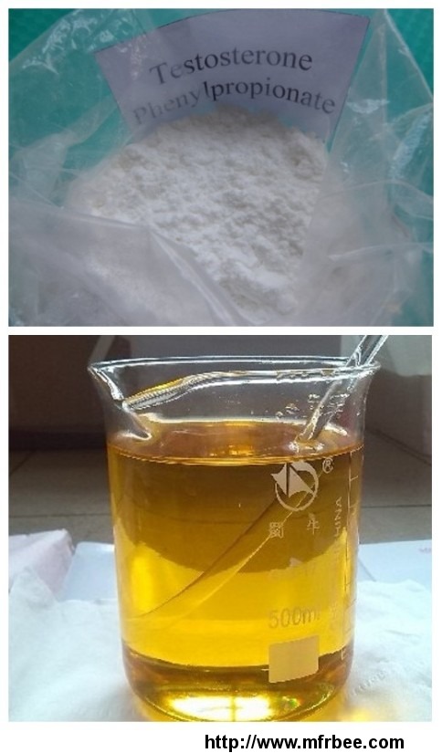 testosterone_phenylpropionate_cas_57_85_2_injectable_steroids