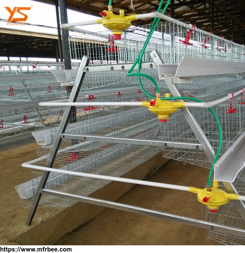 china_gold_supplier_poultry_farm_equipment_layer_egg_chicken_cage