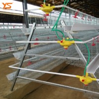 China gold supplier poultry farm equipment layer egg chicken cage