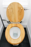 more images of toilet seat