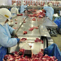 more images of Frozen Horse Meat and Horse Offal