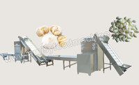 more images of Garlic Peeling Production Line