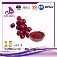 Cranberry fruit powder innovative product fruit juice