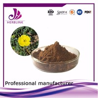 more images of Tribulus Terrestris Extract saponins 90%,Protodioscin 50%