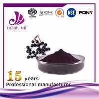 more images of Elderberry extract Anthocyanin 25%