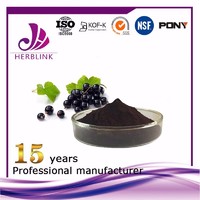 Black Currant extract Anthocyanin 25%