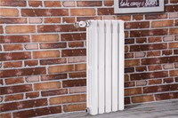 High Quality Cast Iron Radiator for Italy/Algeria/Middle Asia Market