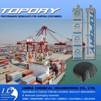 TOPDRY Powerful Container Moisture Absorber