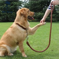 more images of Big Dog PU Leash Rope and Collar set ,Labrador Leash rope and Collar sets